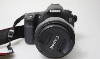 性价比高的单反